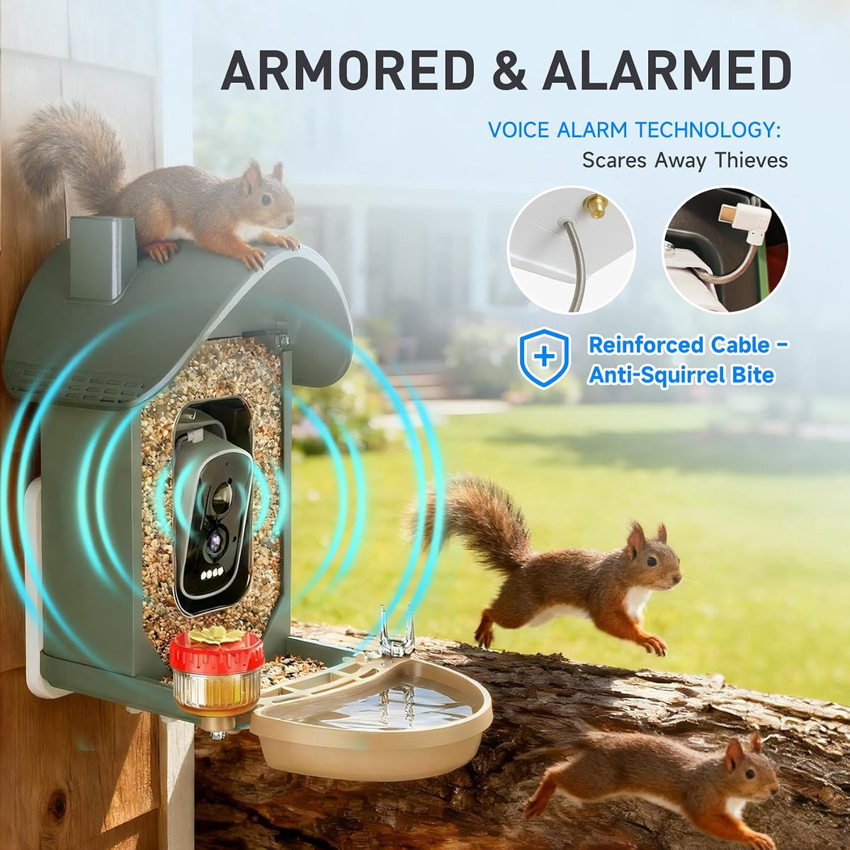 chirpingpal™ ai smart bird feeder with camera | showing dimensions