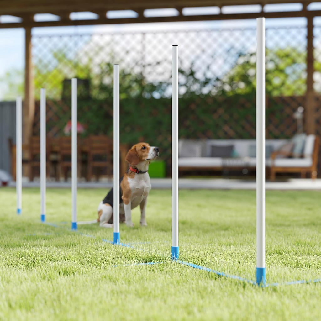 pawhut dog agility training equipment set with weave, view 9