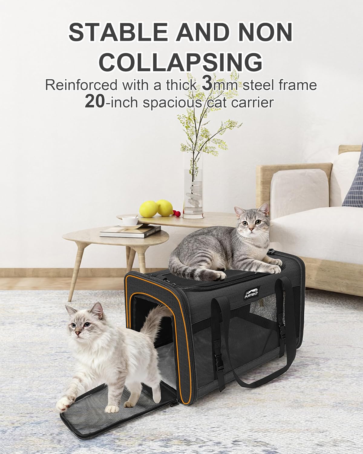soft-sided large cat carrier for 2 cats, spacious, close-up detail