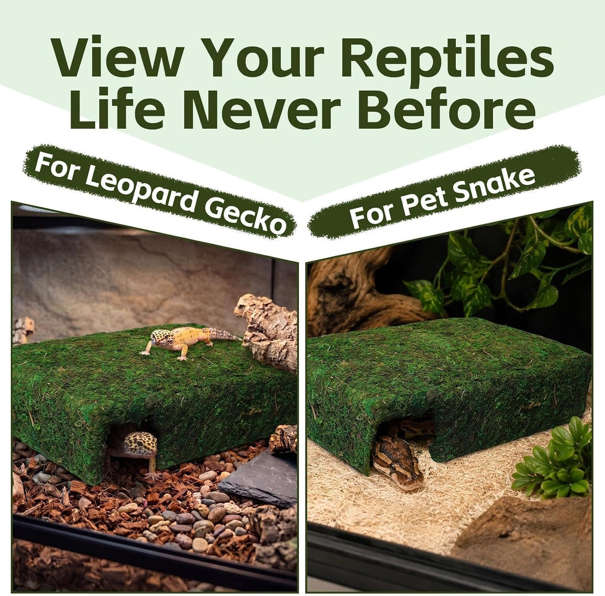l size green moss cave hide, reptile shelter, package contents