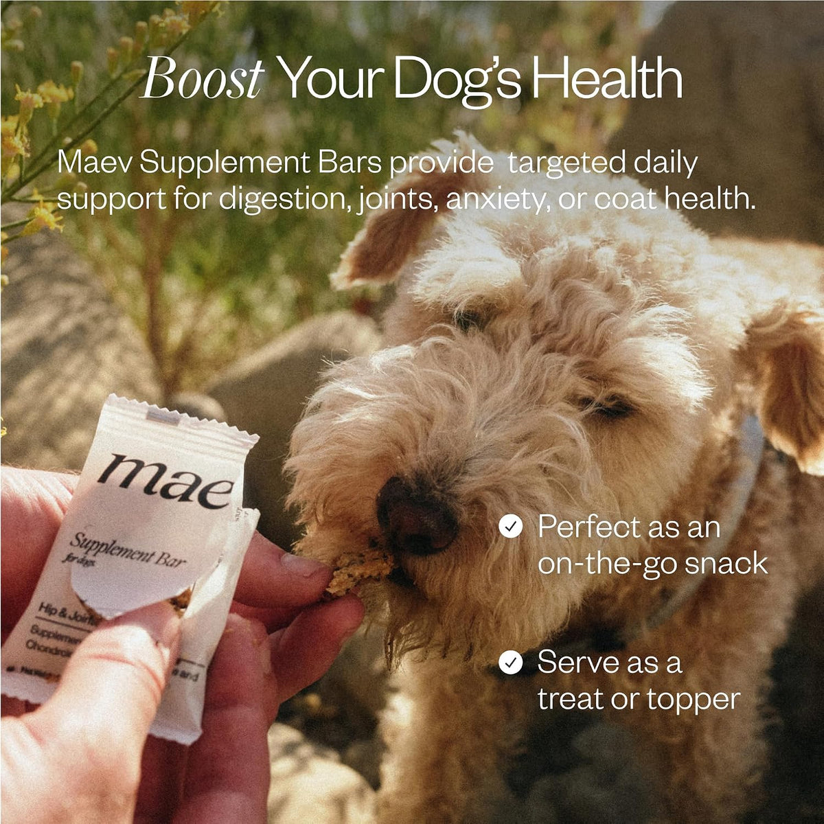 maev human-grade hip & joint supplement bars | showing dimensions