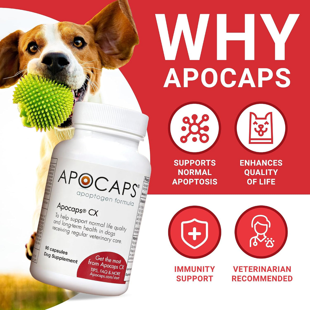 apocaps cx apoptogen formula for dogs (180 capsules), close-up detail