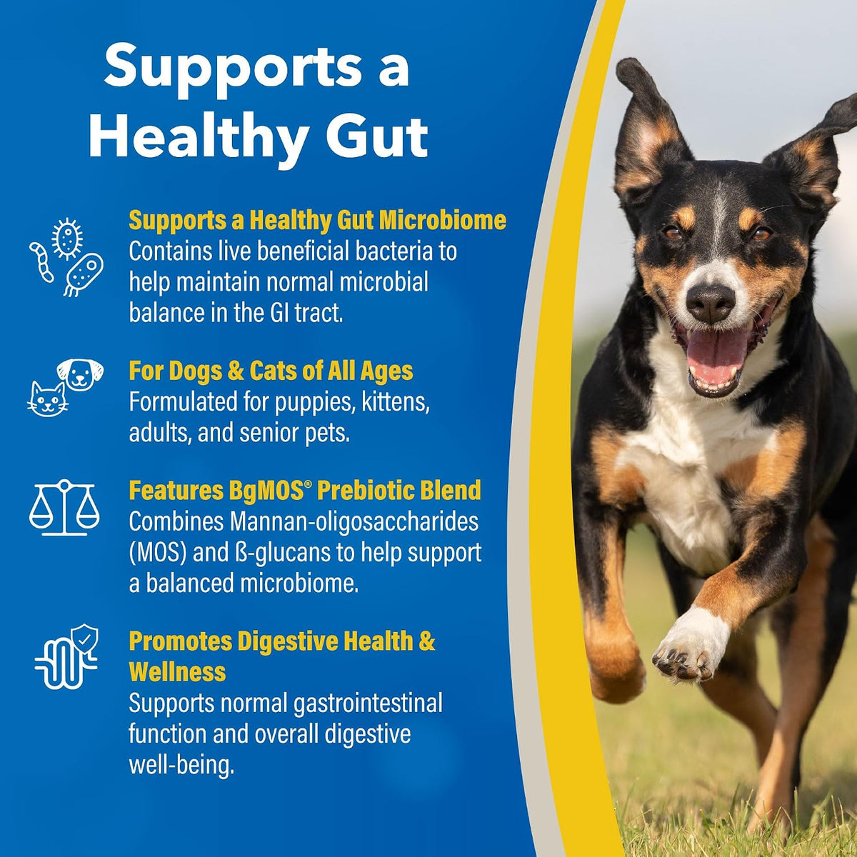doc roy's gi synbiotics prebiotic & probiotic granules shown in use