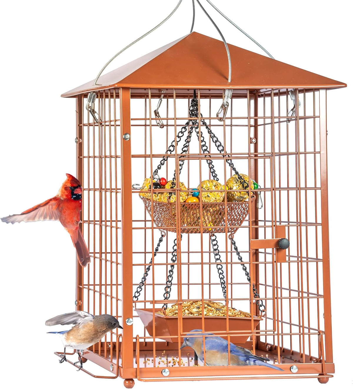 mealworm bird feeders, squirrel-proof bluebirdshanging bird feeder with, main product view