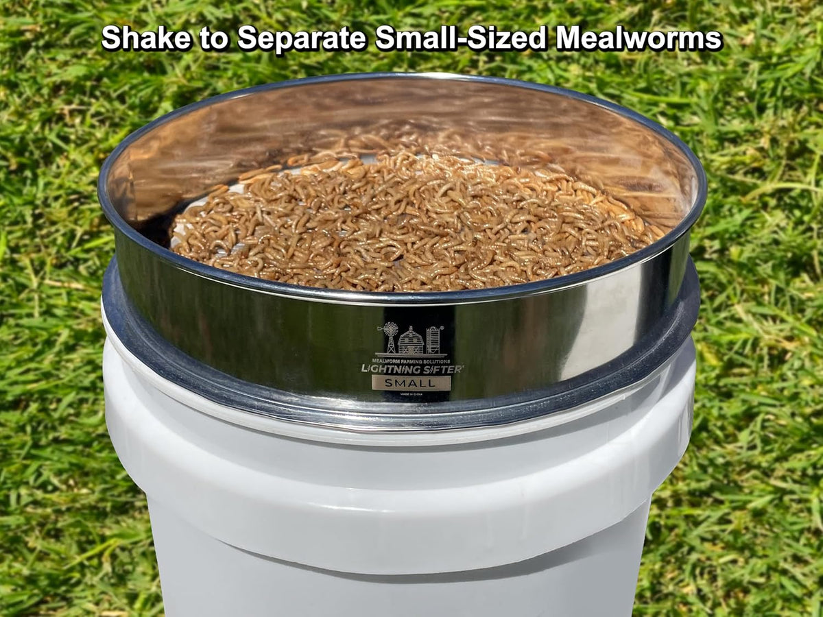 mfs' d-11 lightning sifter small mealworm sifting pan, side view