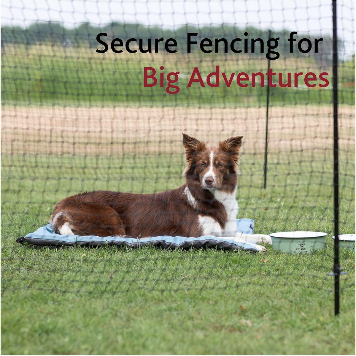 trixie portable pet fence, mesh dog playpen, ideal shown in use