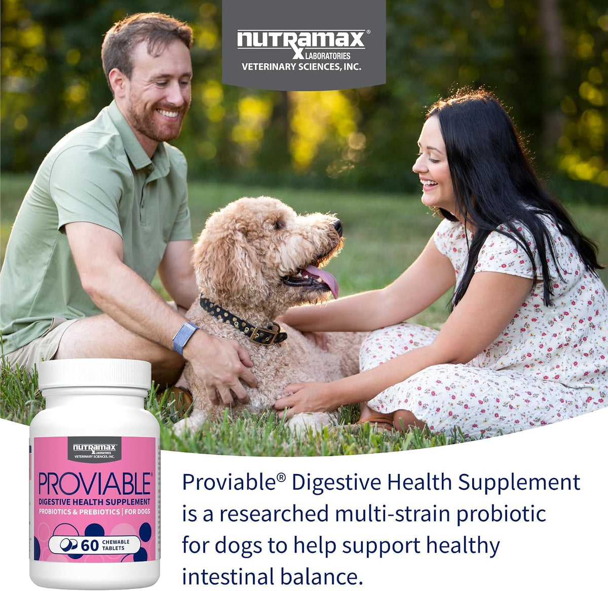 nutramax proviable probiotics for dogs, daily digestive health, close-up detail
