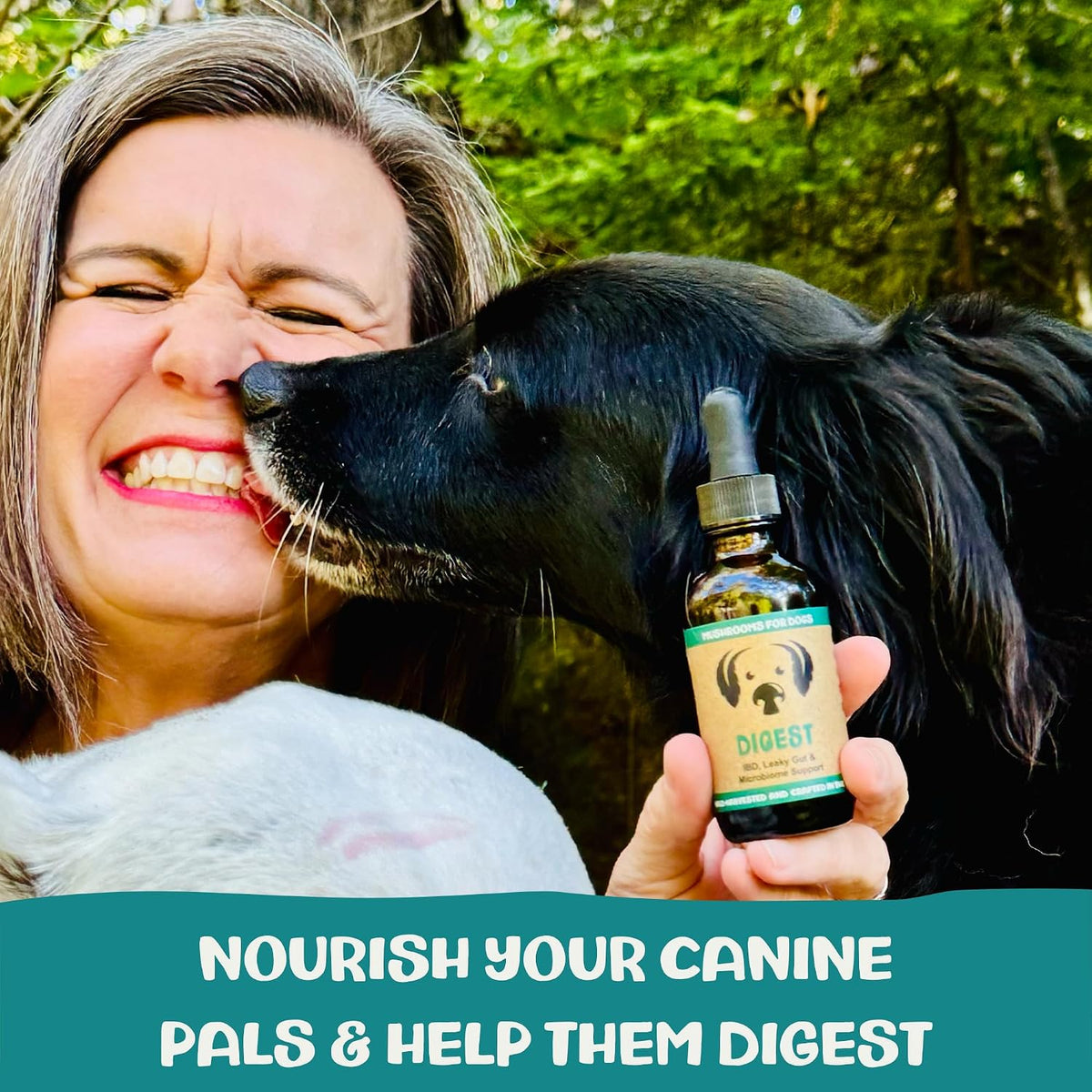 mycodog digest, digestive mushroom supplement for dogs for, close-up detail