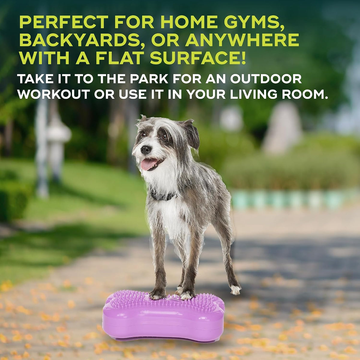 fitpaws® mini k9fitbone® dog balance platform, core stability, side view