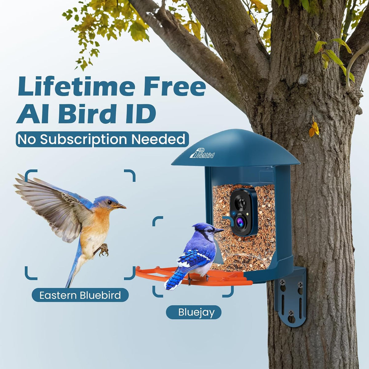 smart bird feeder with camera & solar panel shown in use