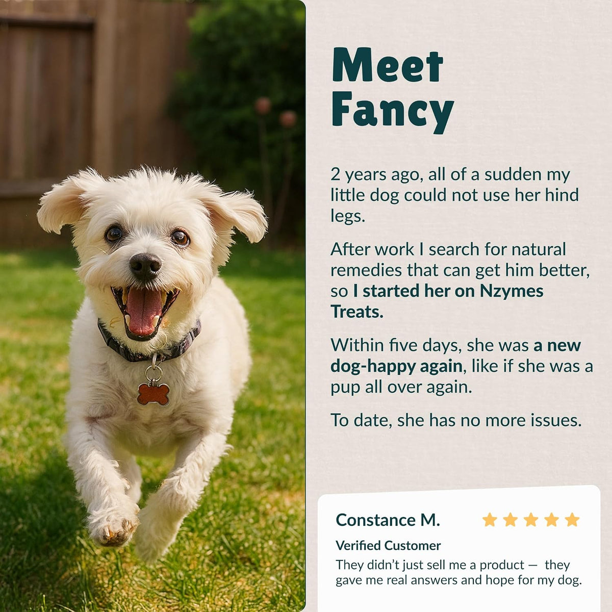 nzymes antioxidant tiny treats for small dogs, hip, side view