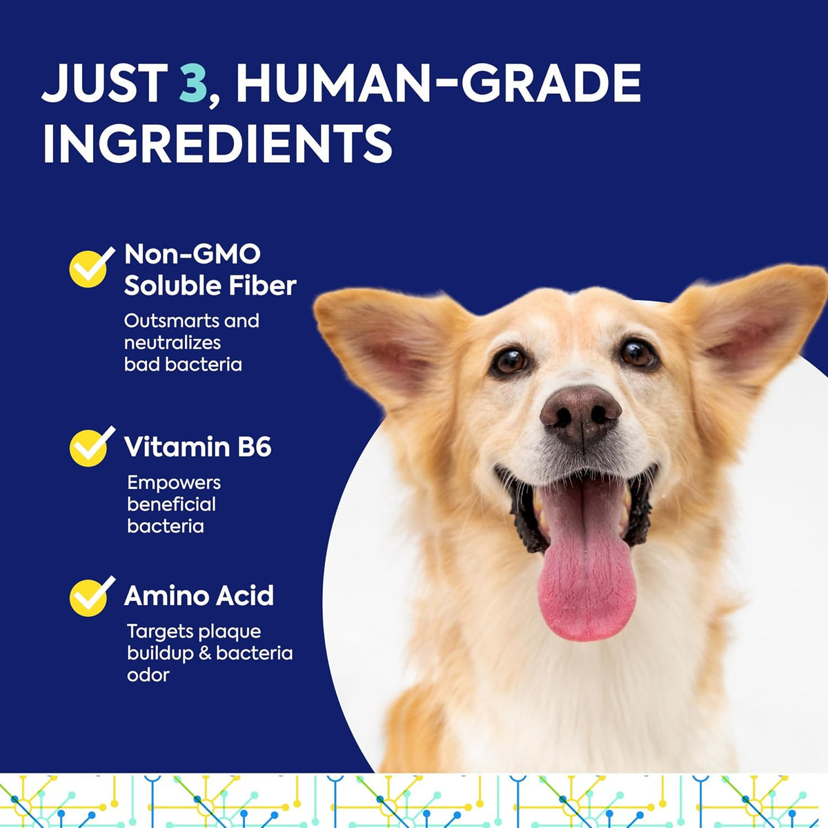 teef for life protektin42k prebiotic cat & dog, side view