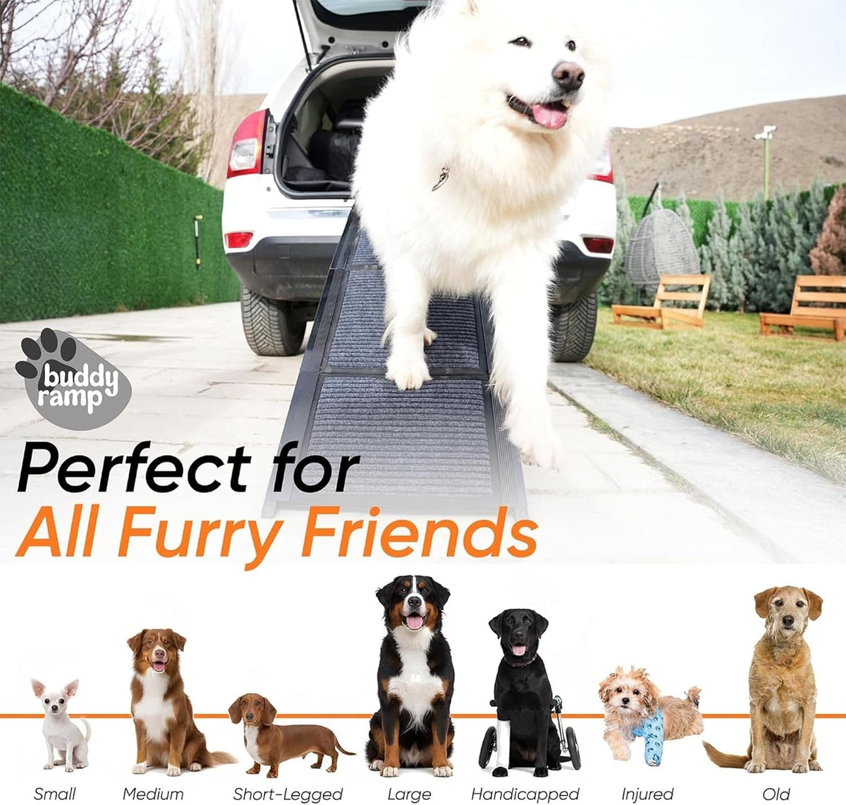 dog ramp for car & back seat cover shown in use