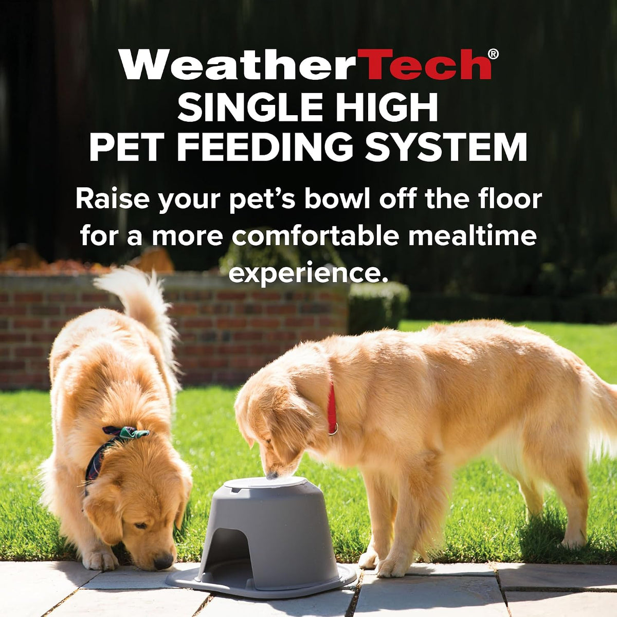 weathertech single high pet feeding system w/plastic dog/cat, close-up detail