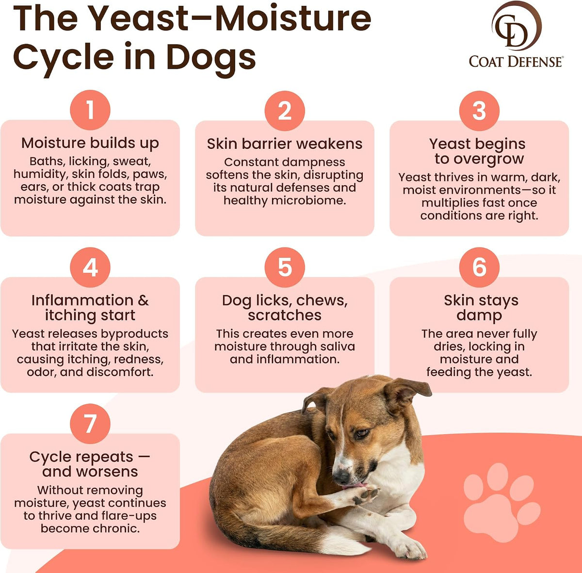 coat defense paw licker bundle | daily preventative, close-up detail