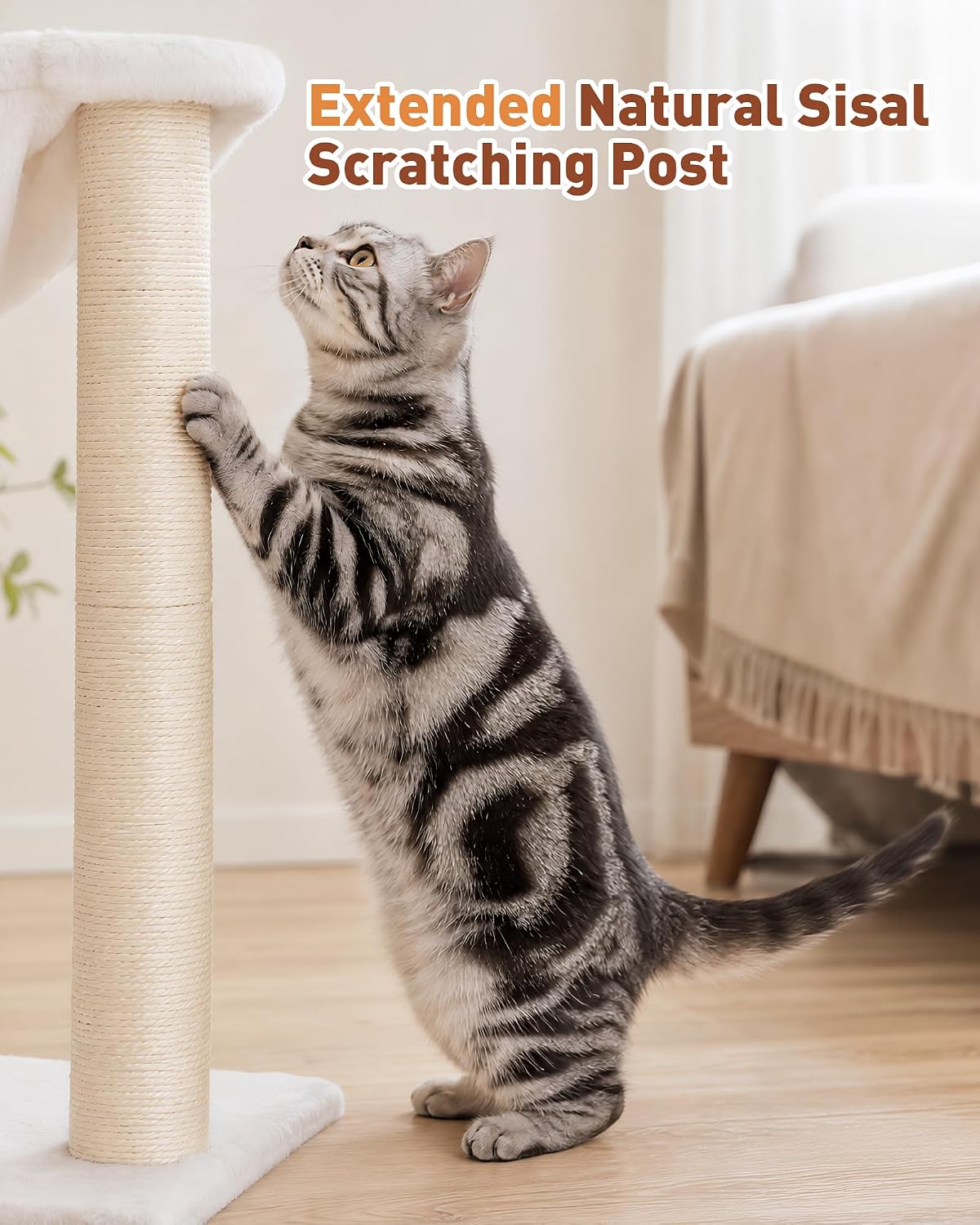34" modern cat tree with large hammock, extra-long showing dimensions