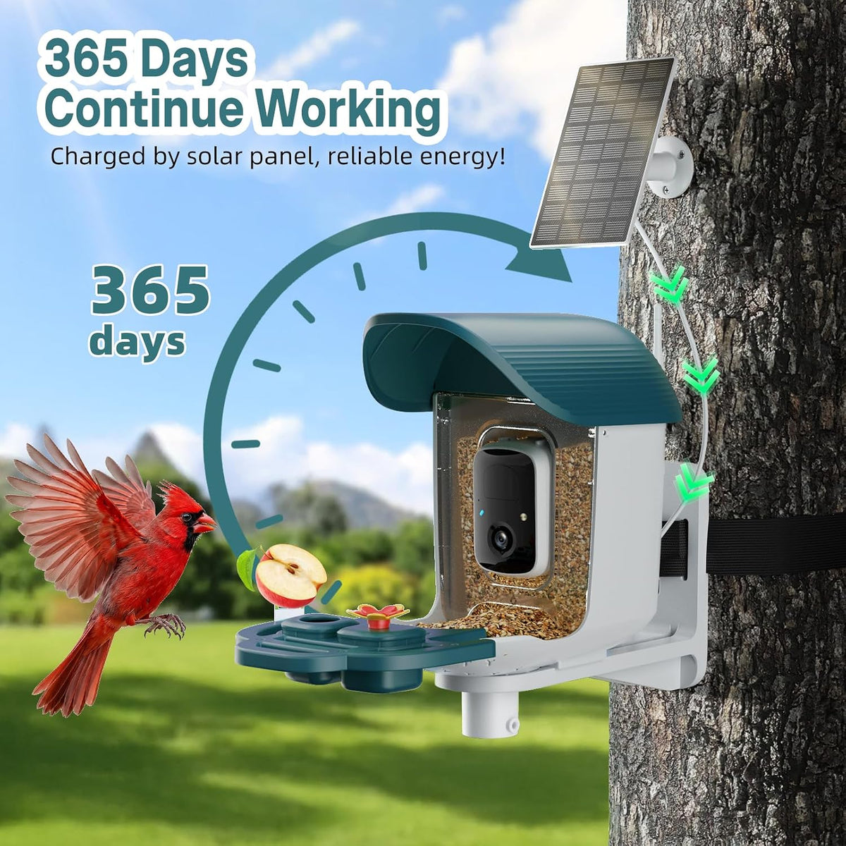 bird feeder with camera solar powered, 2k hd, side view