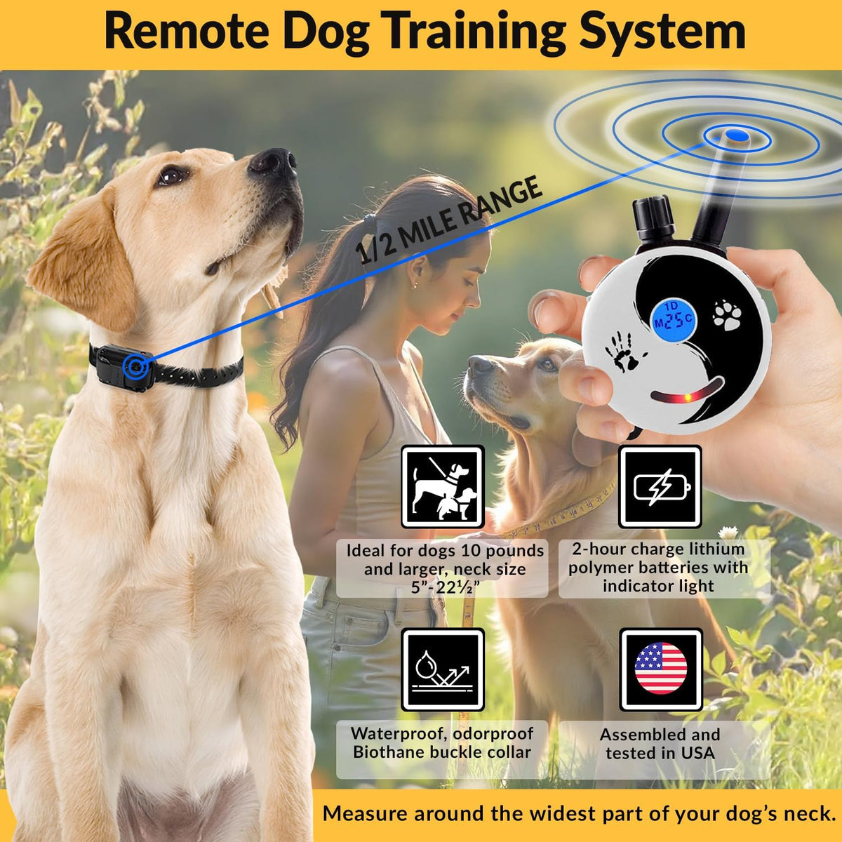 e-collar educator zen-302 dog training collar with remote, close-up detail