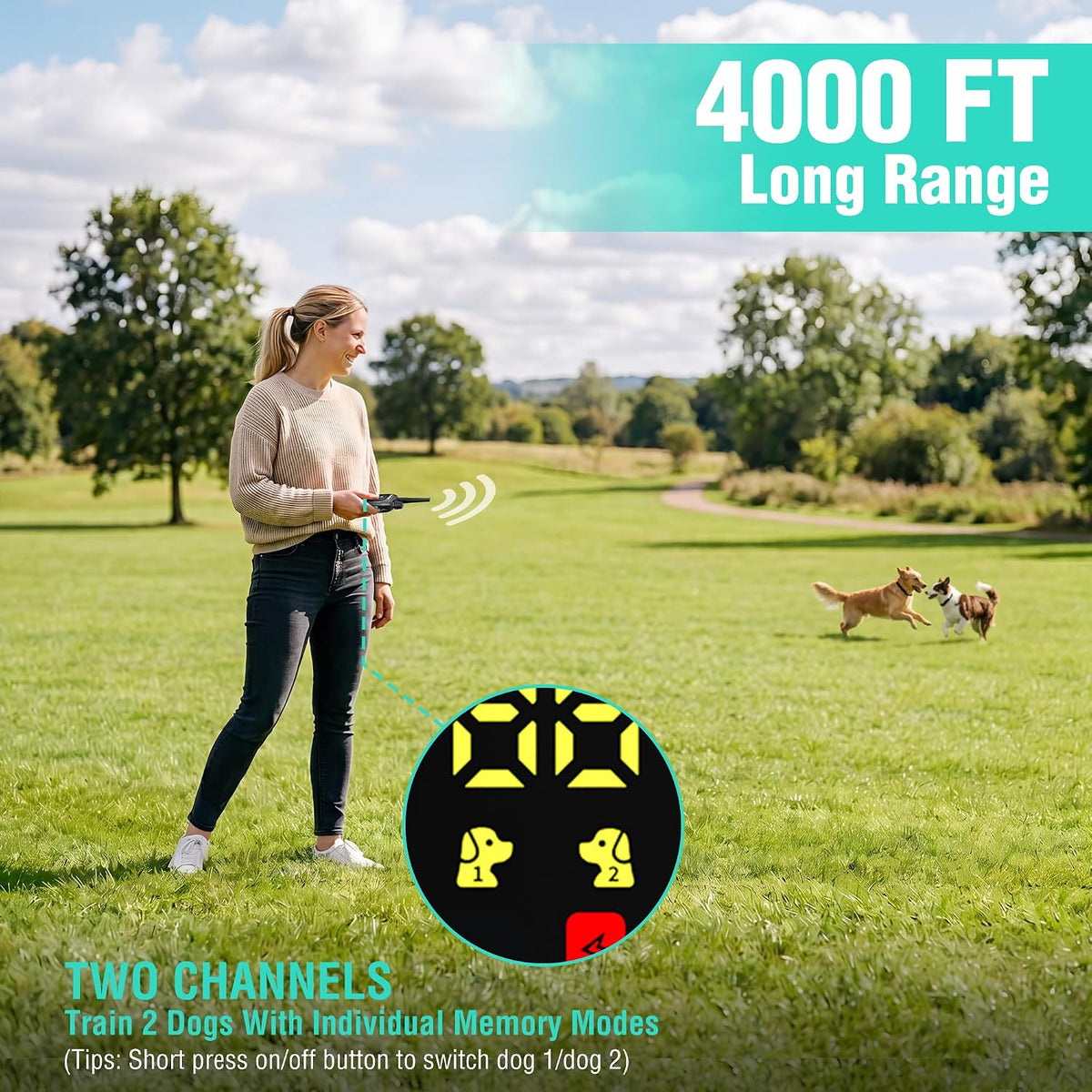 haushof shock collar for dog, 4000 ft dog showing dimensions