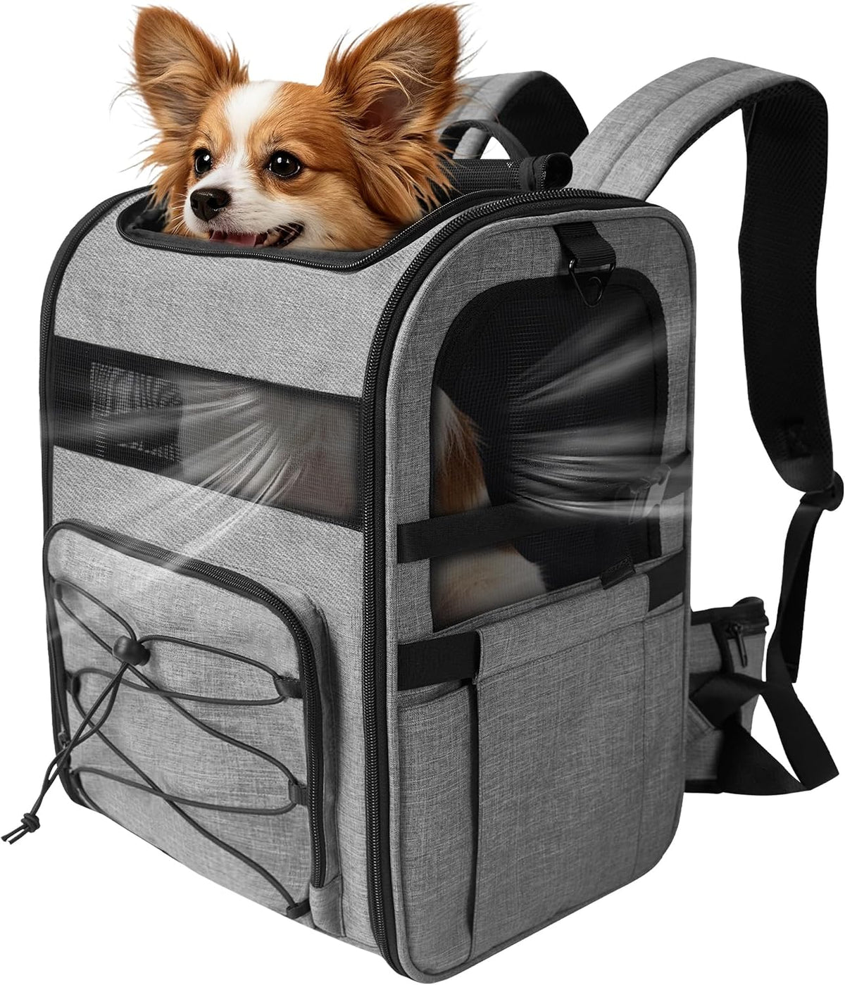 pet carrier backpack for small dogs & cats, main product view