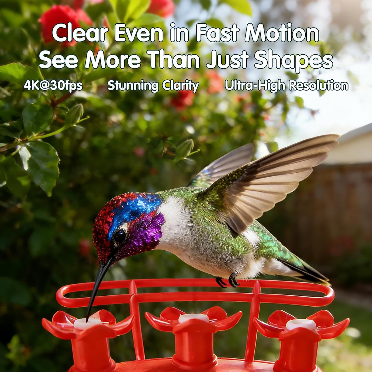 4k hummingbird feeder with camera,no subscription,solar powered shown in use