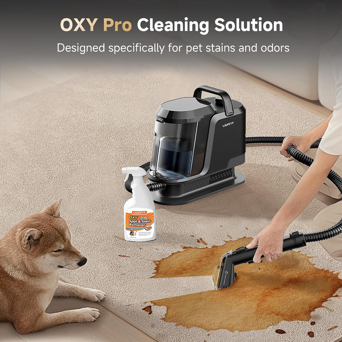 uwant carpet cleaner machine with steam&hot&cold water system showing dimensions