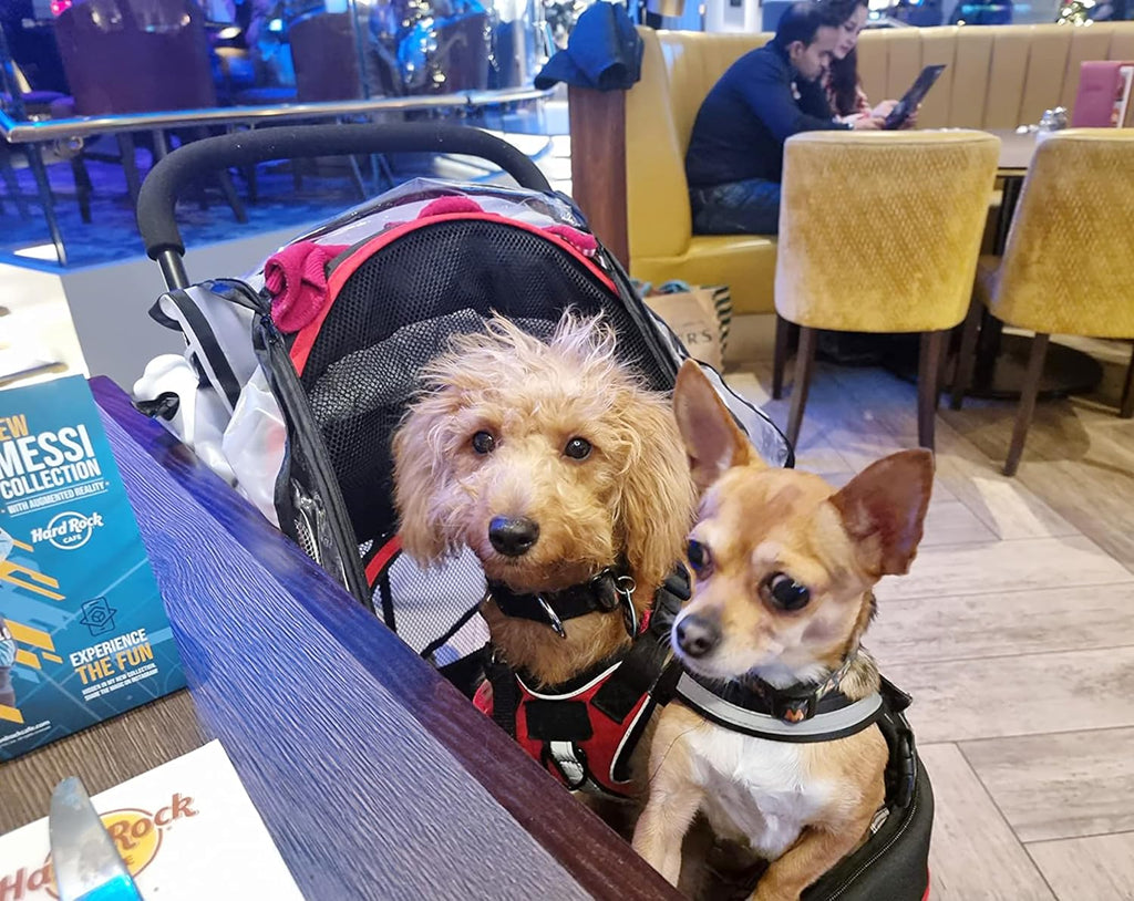 roodo escort 3 wheel dog cat pet stroller shown in use