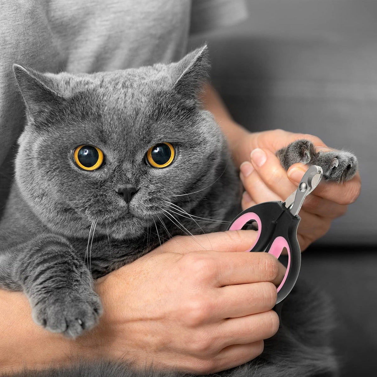 therwen 24 pcs cat nail clipper bulk, moon-shaped showing dimensions