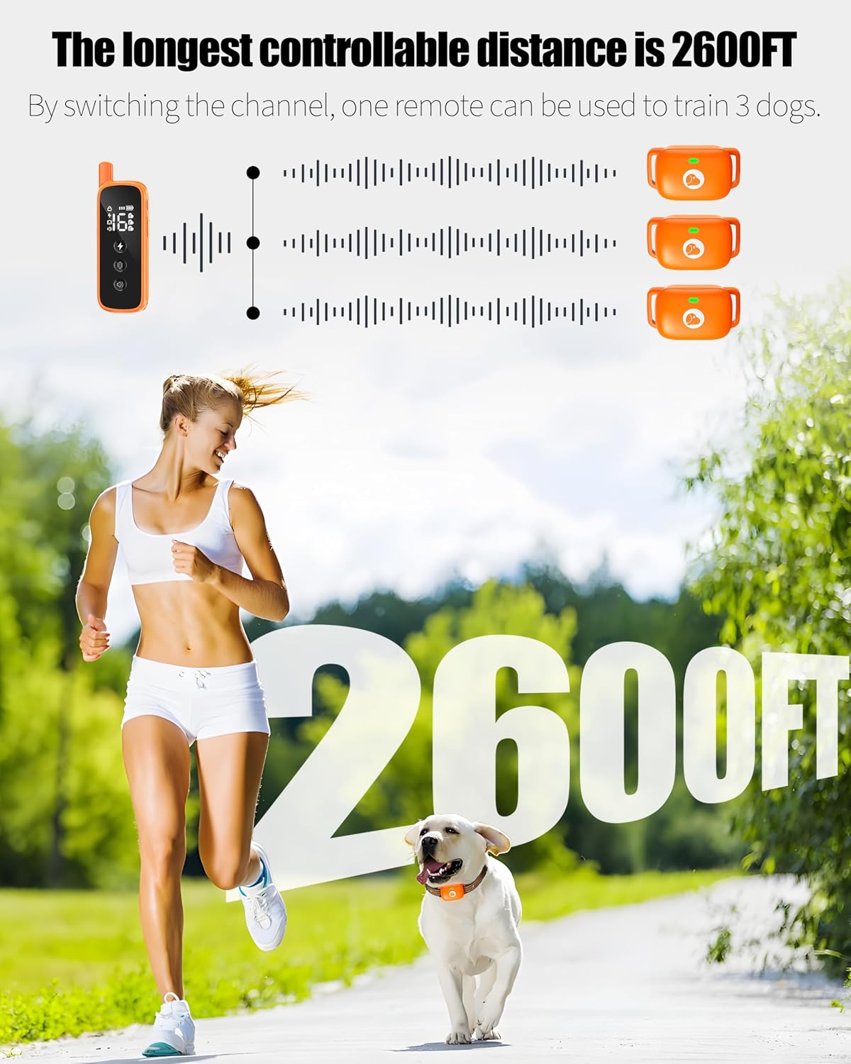 dog training collar with remote,2600ft shock collar for showing dimensions