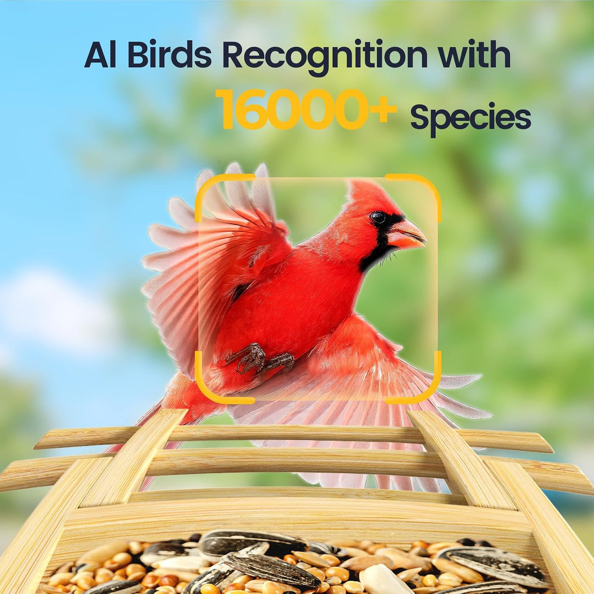 smart bird feeder with camera, solar charging long-lasting, side view