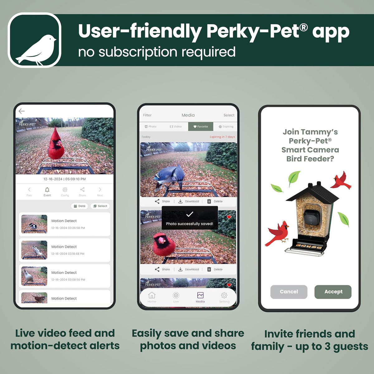 perky-pet solar powered smart bird feeder with camera, side view