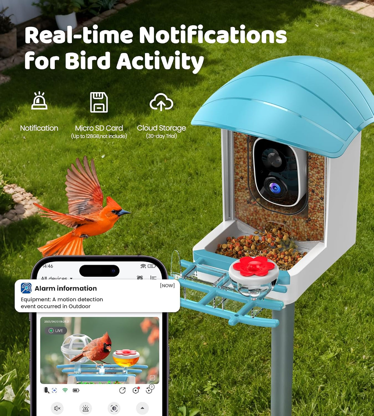 bird feeder with camera solar powered: smart bird, close-up detail