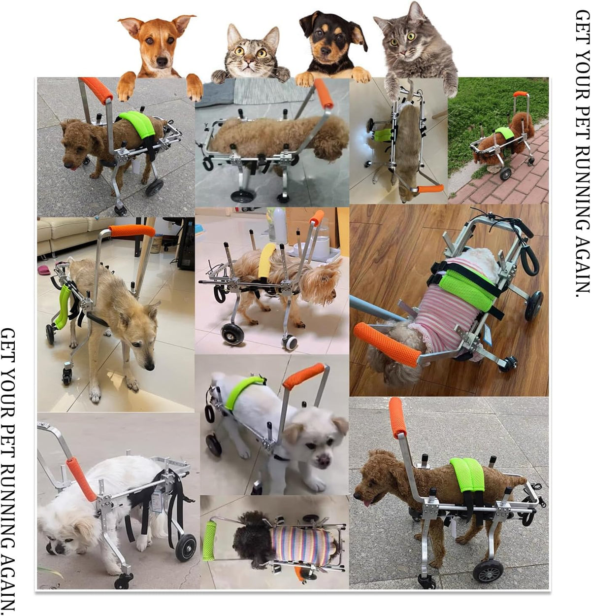 dog wheel chair, adjustable 4 wheel pet wheelchair showing dimensions
