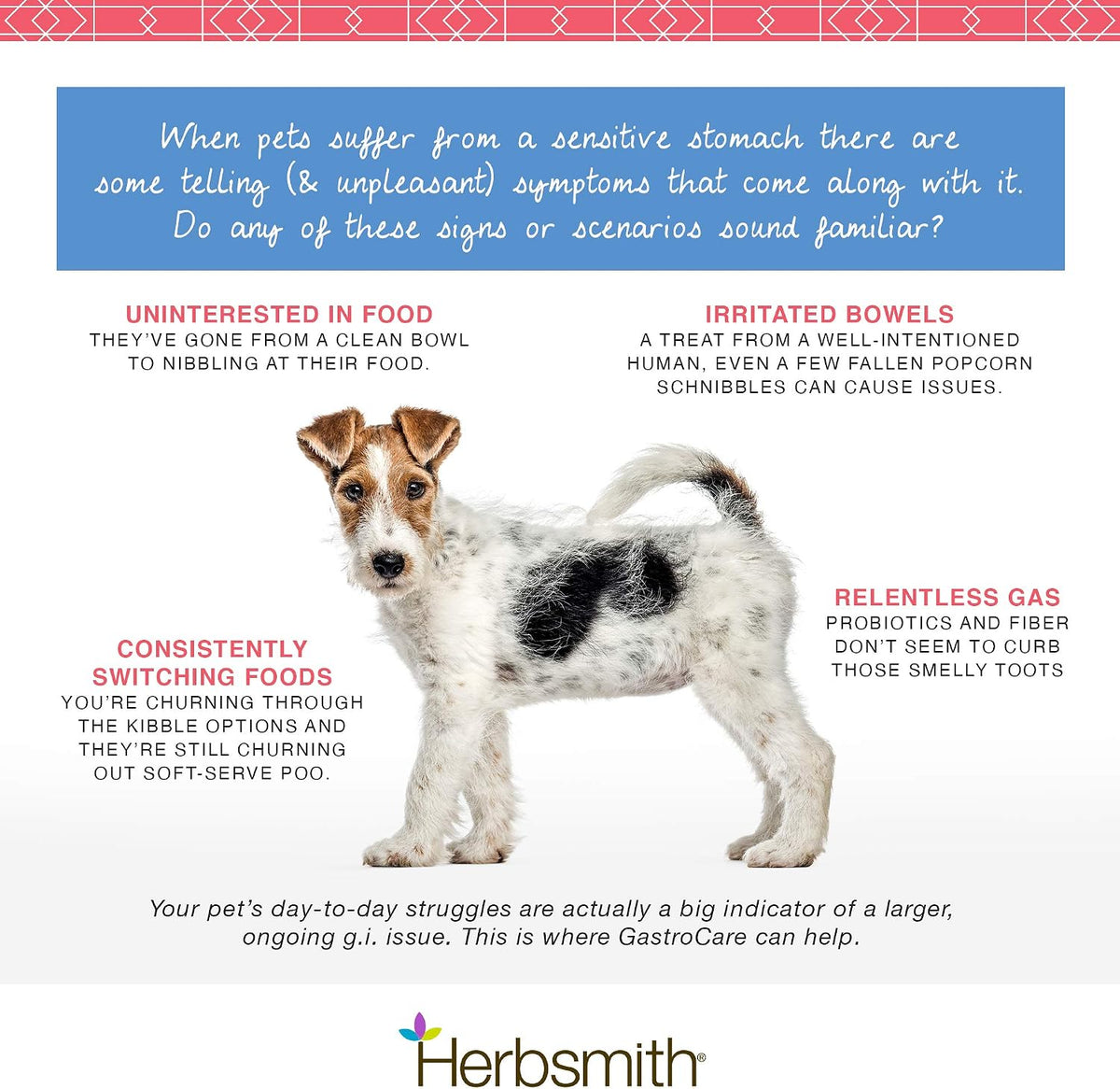 herbsmith gastrocare - for cats & dogs with, side view