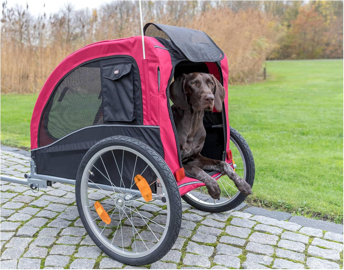 trixie large dog bike trailer - foldable pet shown in use