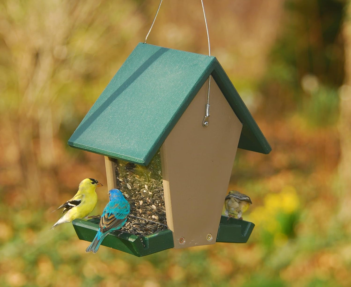 recycled plastic small hopper bird feeder, green and shown in use