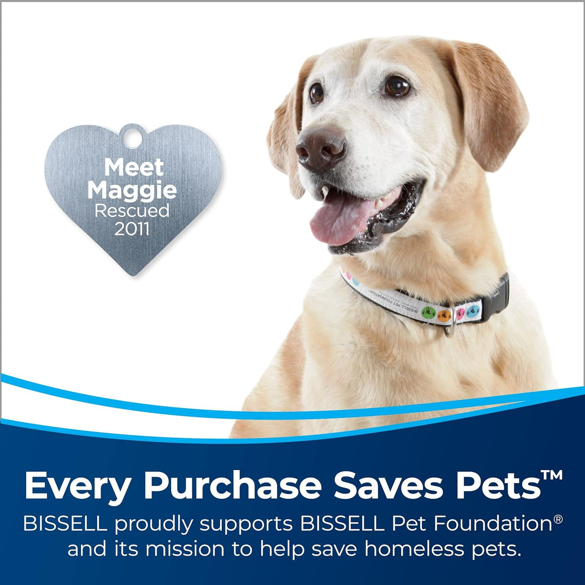 bissell cleanview rewind pet bagless vacuum with automatic shown in use