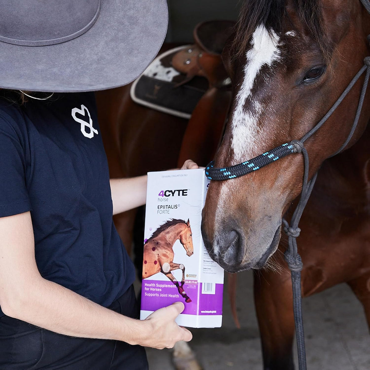 4cyte epiitalis forte horse joint supplement for mobility shown in use