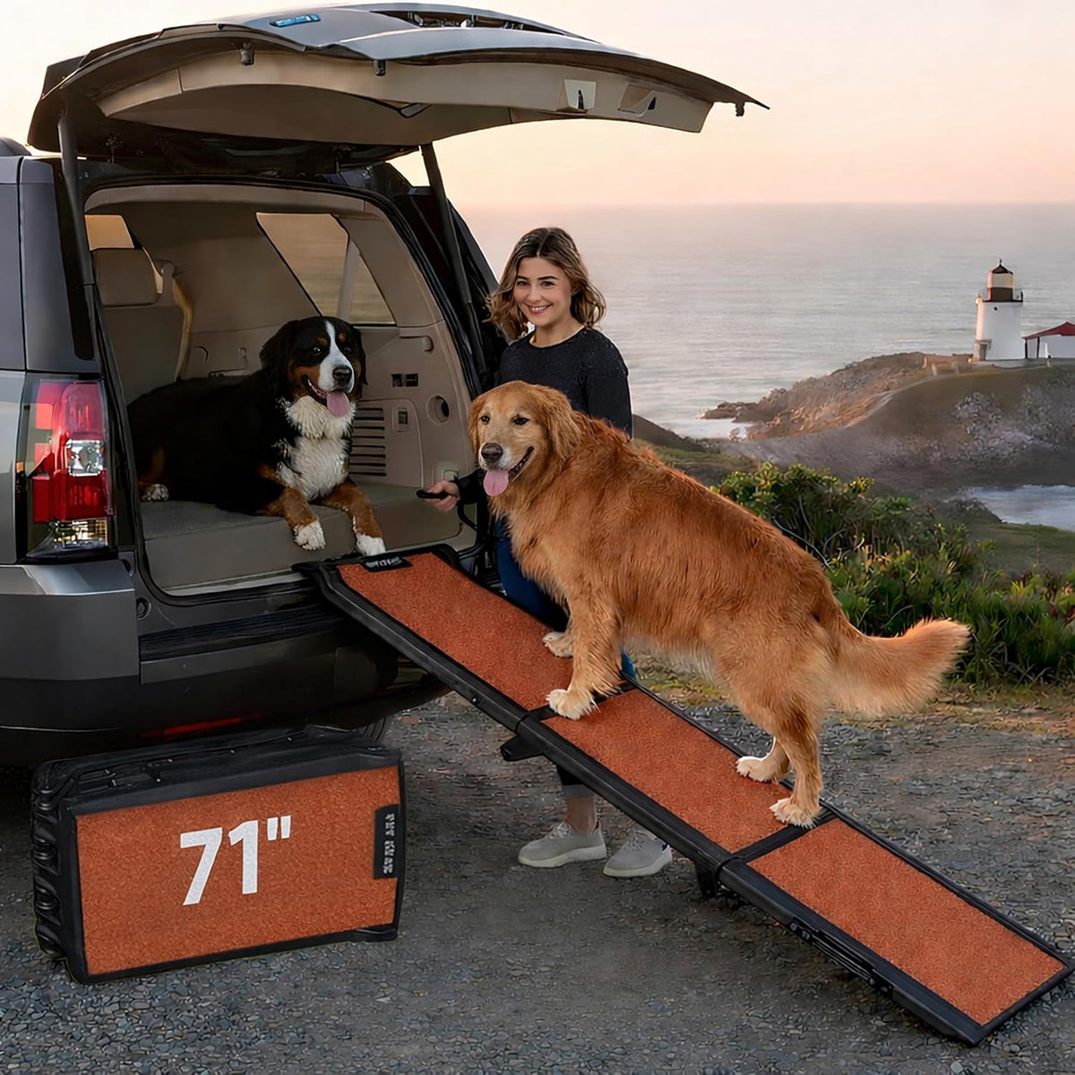 pet gear travel lite ramps for dogs and, main product view