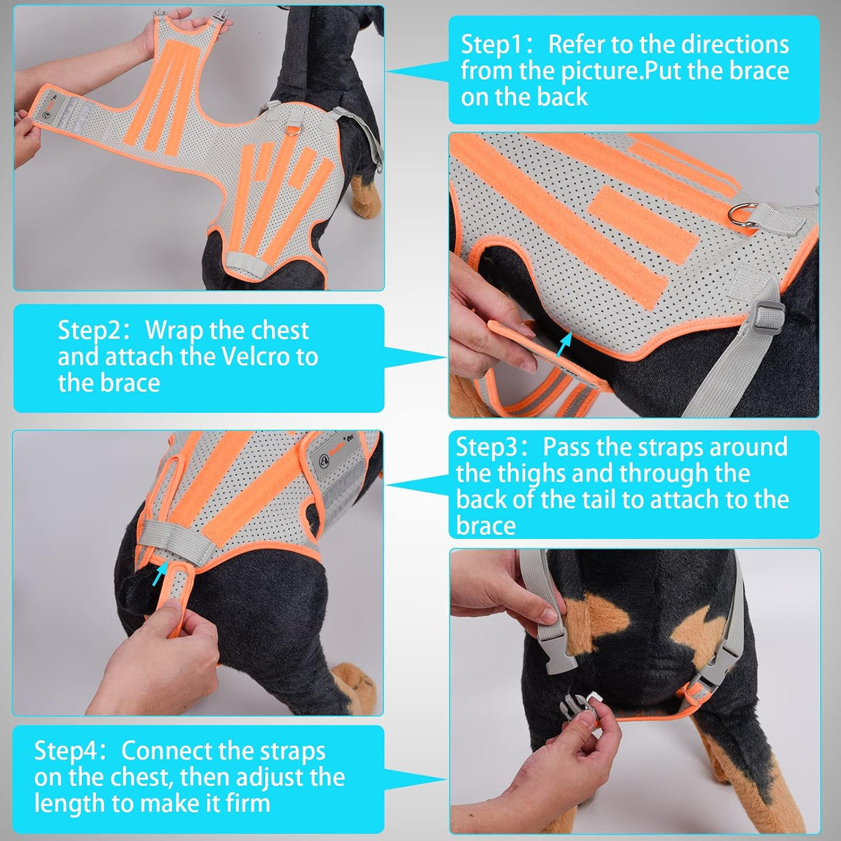 dog back brace for arthritis, dog hip brace, side view