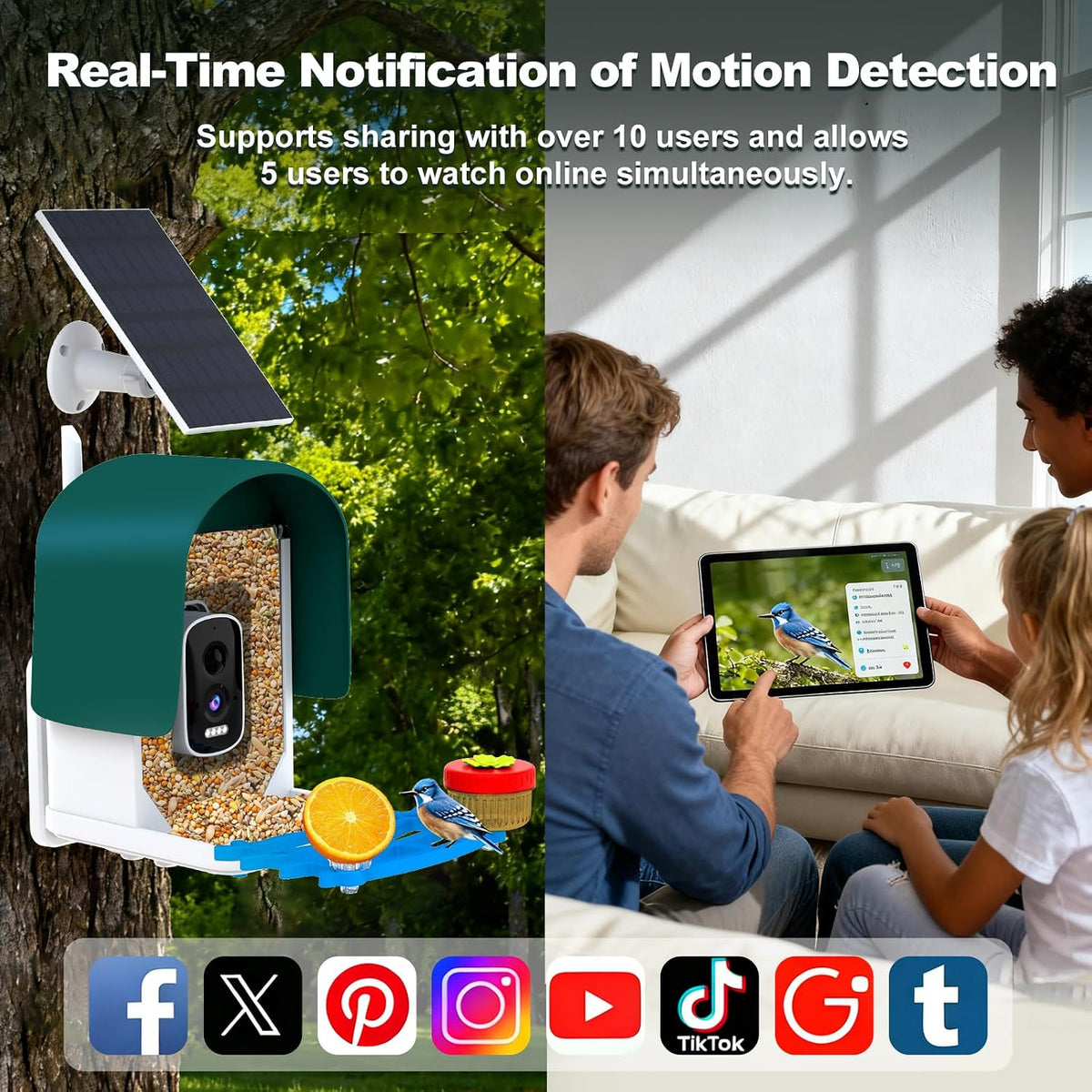 4k smart bird feeder with camera, build-in 32gb showing dimensions