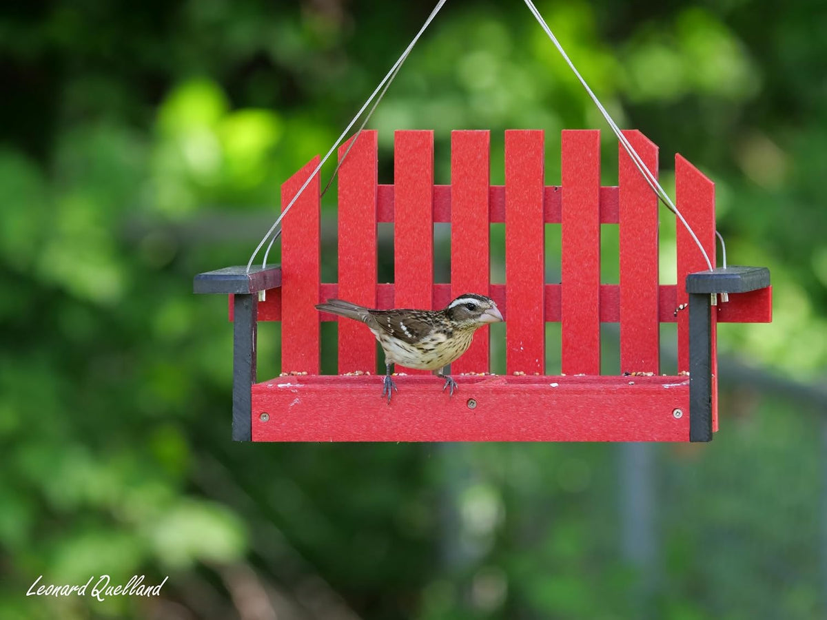 amishtoybox porch swing bird feeder, eco-friendly poly lumber showing dimensions