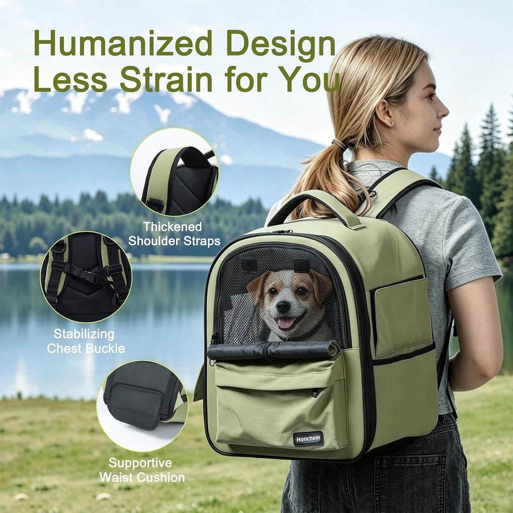 cat carrier dog backpack carrier with anti-collapse bottom showing dimensions