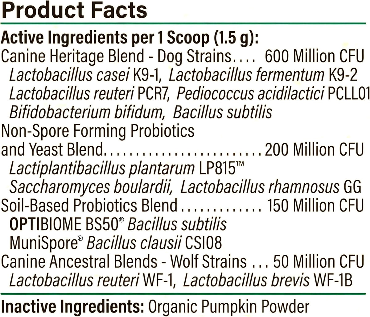 proactive paws primitive probiotics for dogs, 90 scoops, close-up detail