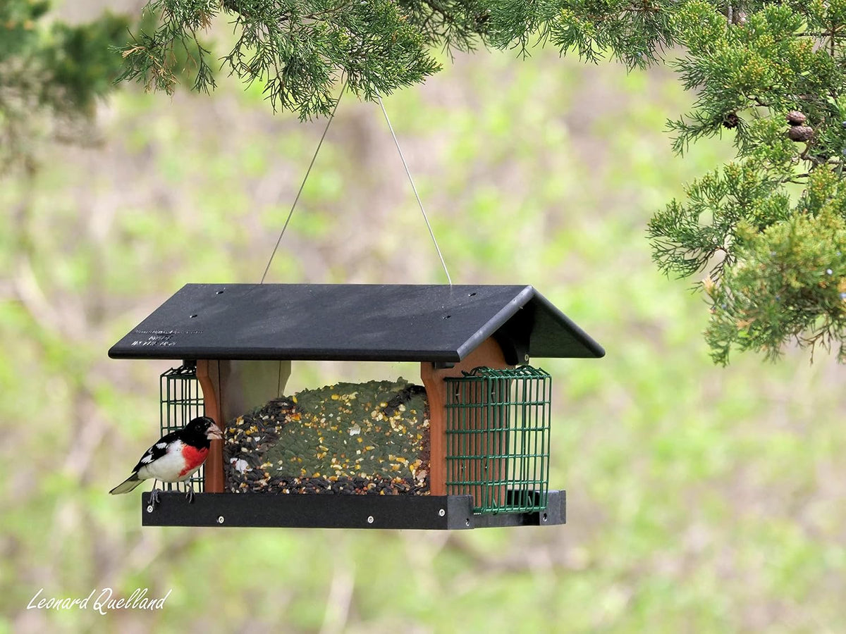 deluxe bird feeder with suet holders, made with, side view