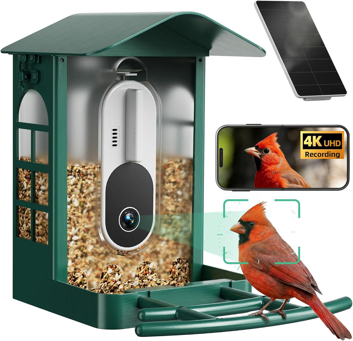 bird feeder with camera, no subscription, 4k uhd, main product view