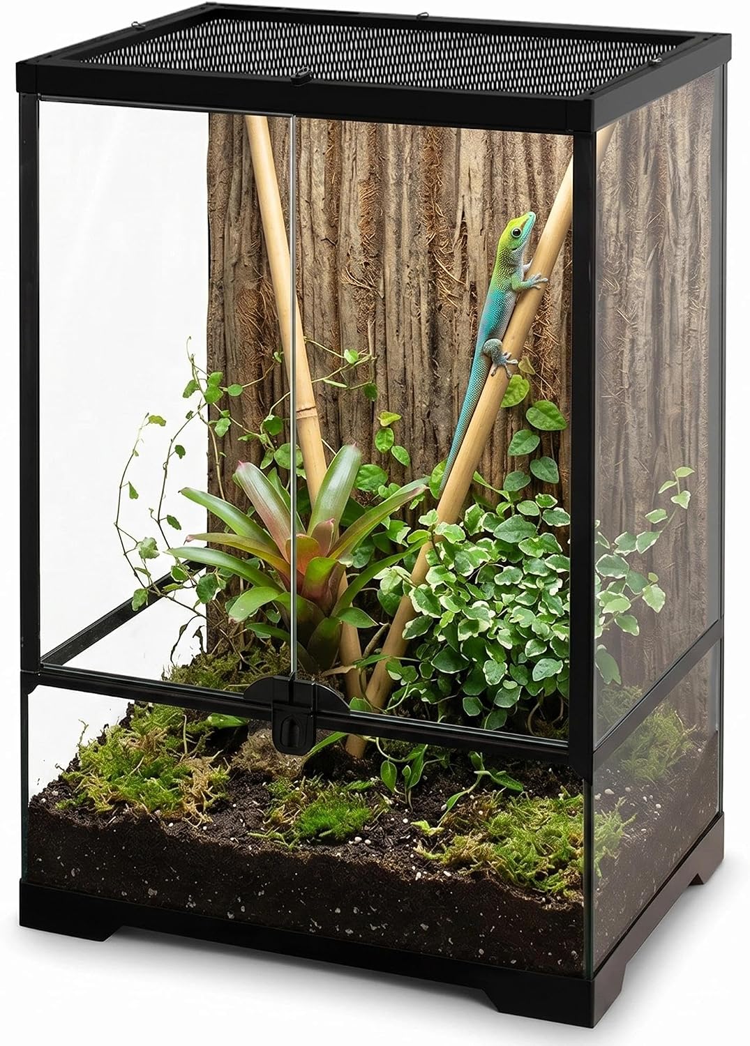 12"x12"x18" reptile terrarium, aluminum-frame glass vivarium for small, main product view
