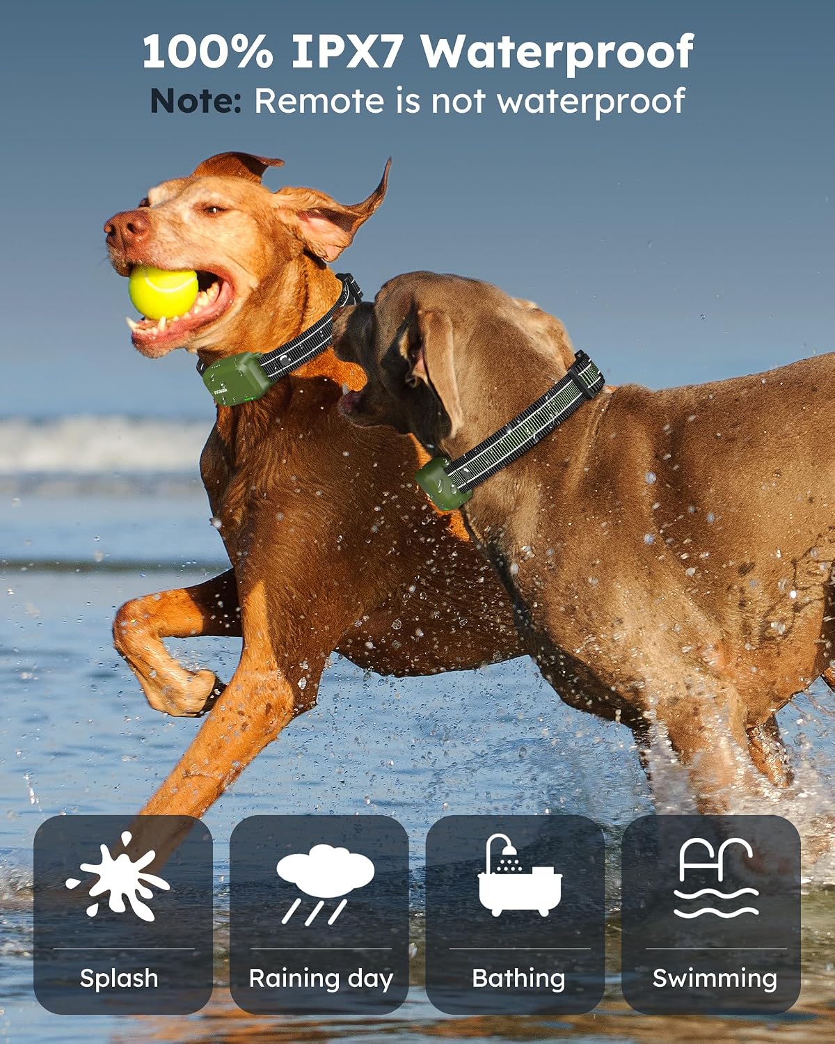 shock collar for 2 dogs with remote, 4200ft, side view
