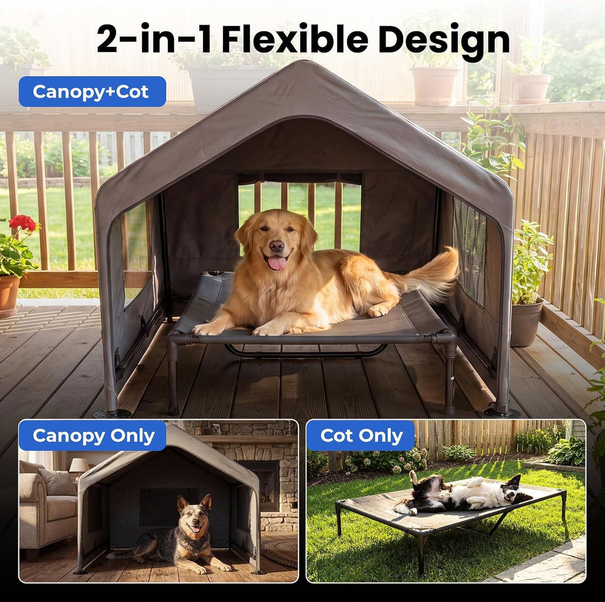 zooba extra large dog shade with elevated bed shown in use