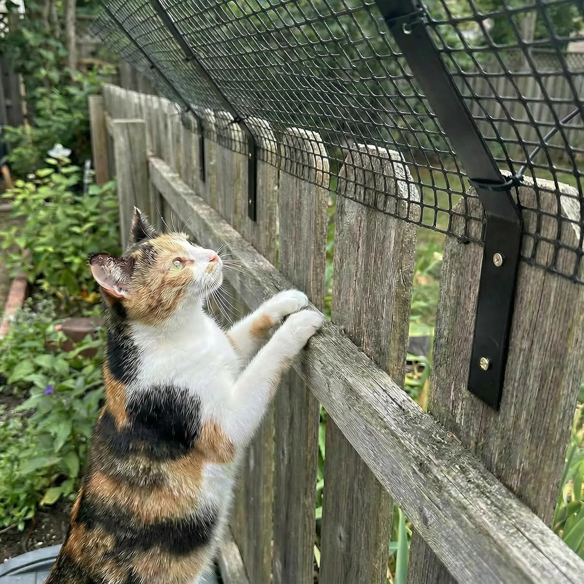 cat fence outdoor barrier 33ft with 8 kits shown in use